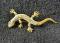 Vintage LOT of 3 GECKO LIZARD Pins Brooches--Nice Southwestern costume jewelry