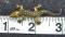 Vintage LOT of 3 GECKO LIZARD Pins Brooches--Nice Southwestern costume jewelry