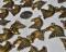Quantity 10 –Bronze EAGLE HEAD 18mm X 21mm Charms or Pendants -Lots of detail -2mm Hole at top